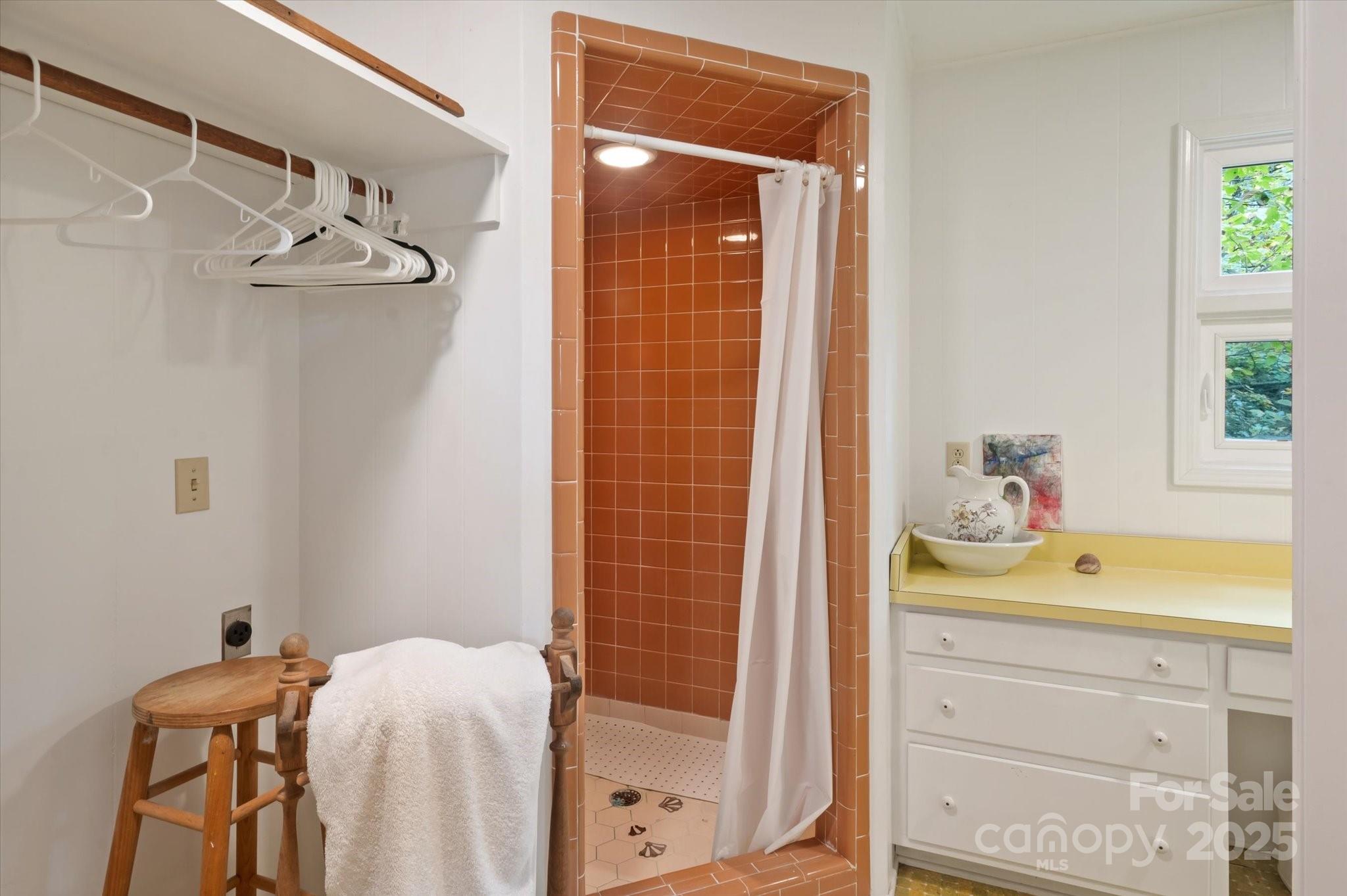 909 Green Hill Road Brevard, NC 28712 - Photo 18 of 44 a bathroom with a shower and a sink