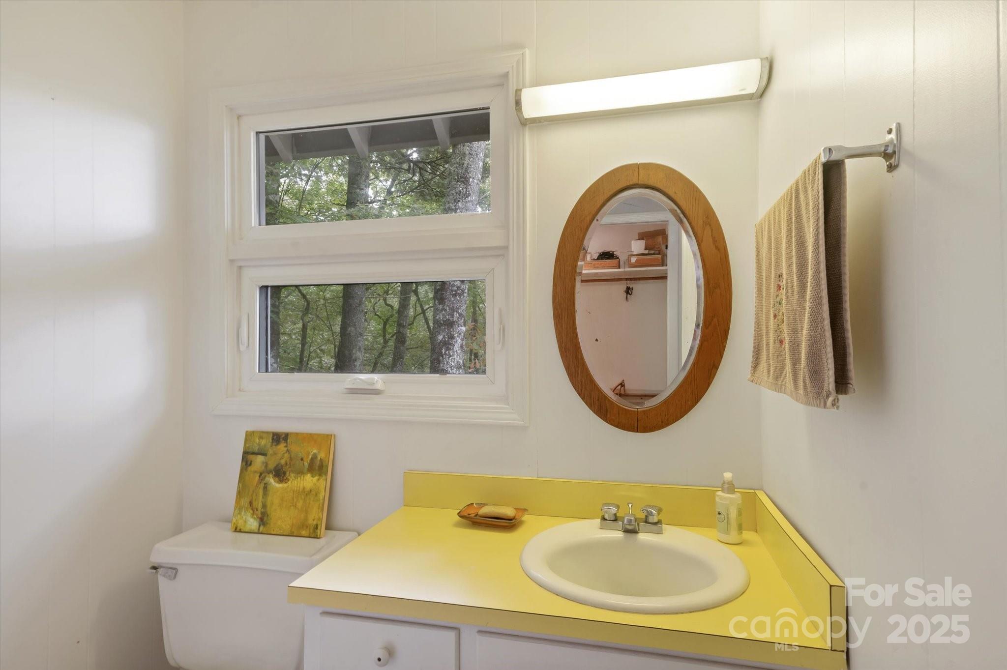 909 Green Hill Road Brevard, NC 28712 - Photo 19 of 44 a bathroom with a sink and a mirror