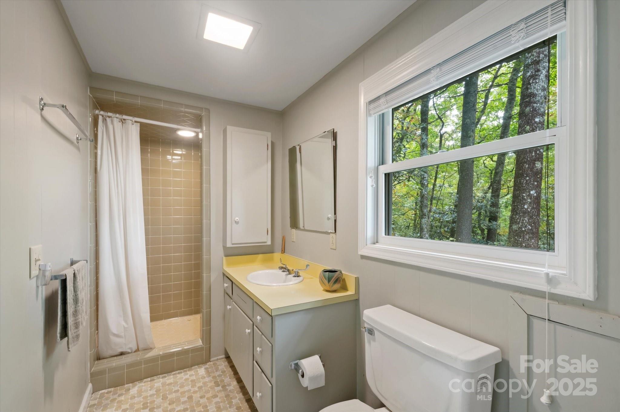 909 Green Hill Road Brevard, NC 28712 - Photo 31 of 44 a bathroom with a sink toilet and shower
