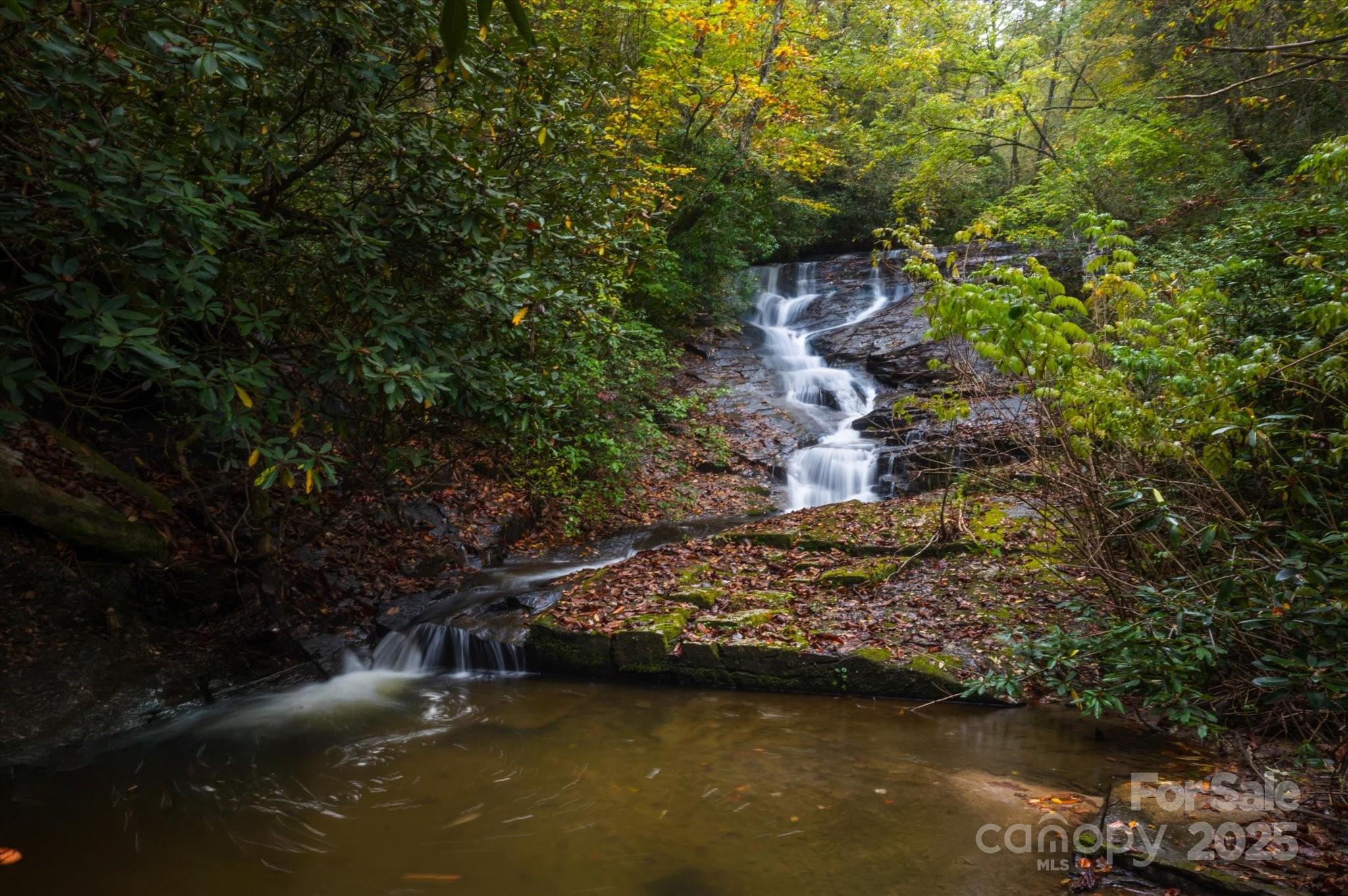 909 Green Hill Road Brevard, NC 28712 - Photo 32 of 44 a view of a lake with trees