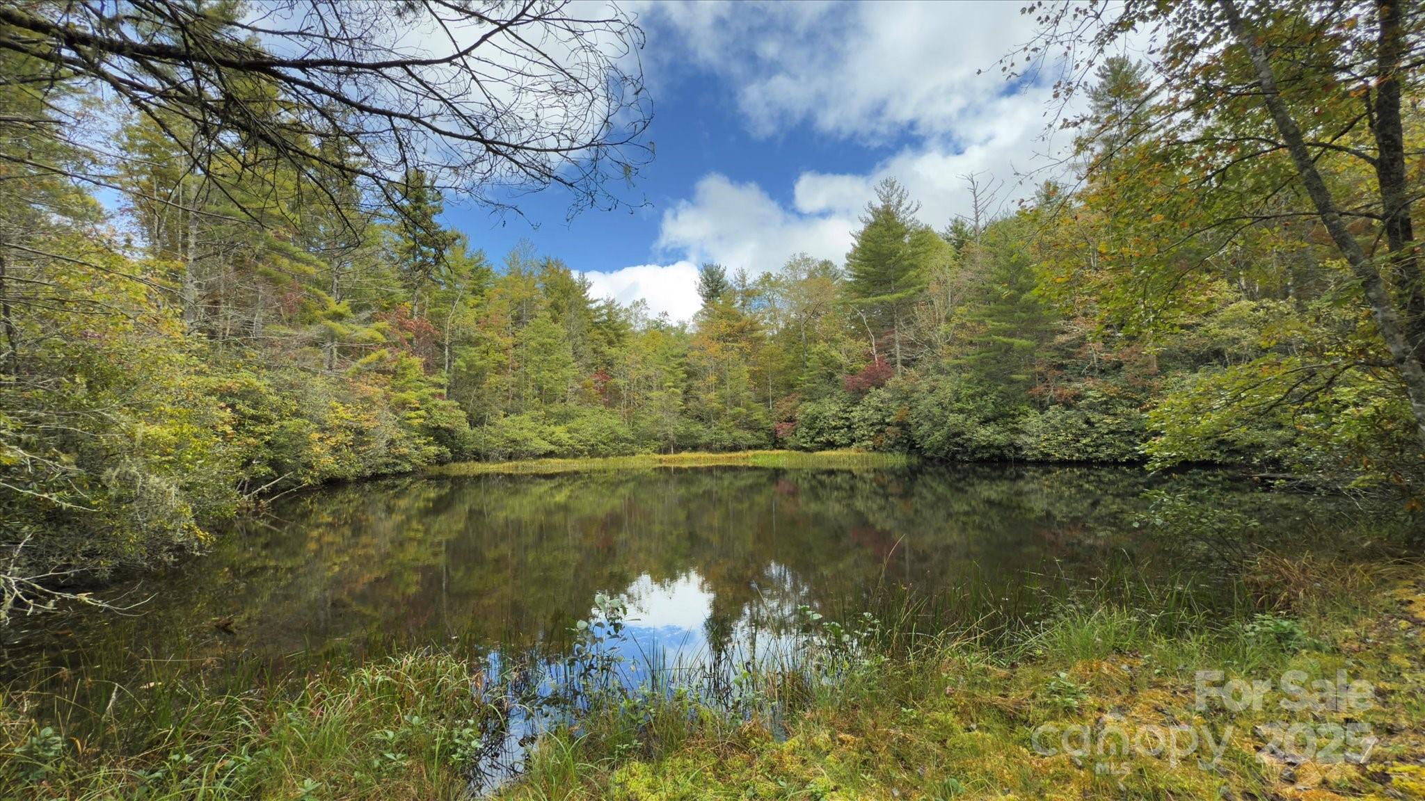 909 Green Hill Road Brevard, NC 28712 - Photo 33 of 44 a view of lake