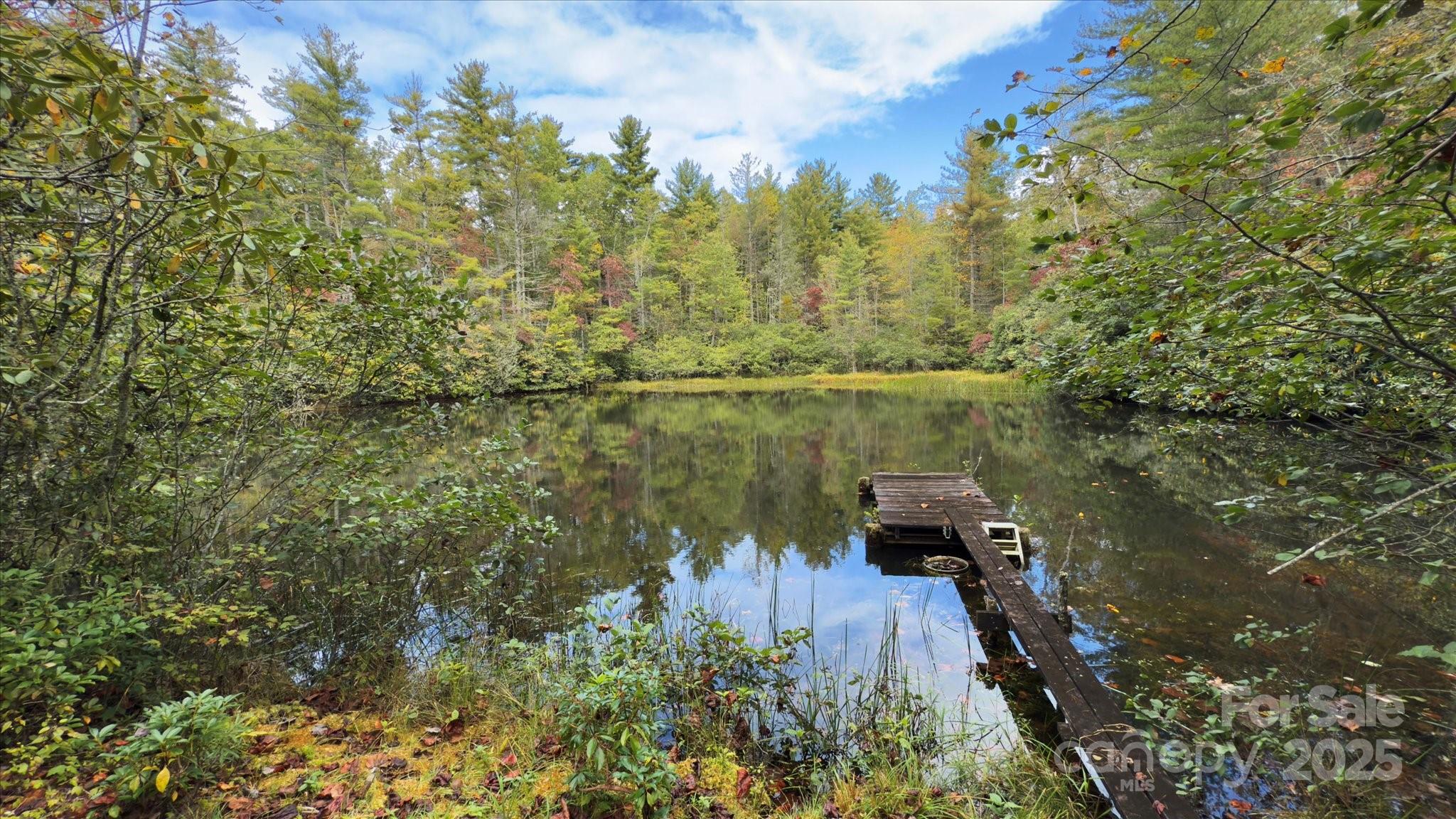 909 Green Hill Road Brevard, NC 28712 - Photo 34 of 44 view of a lake with large trees