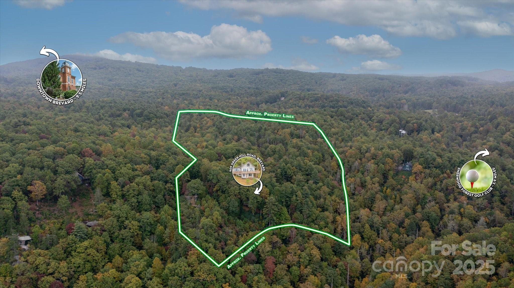 909 Green Hill Road Brevard, NC 28712 - Photo 38 of 44 a picture of a yard