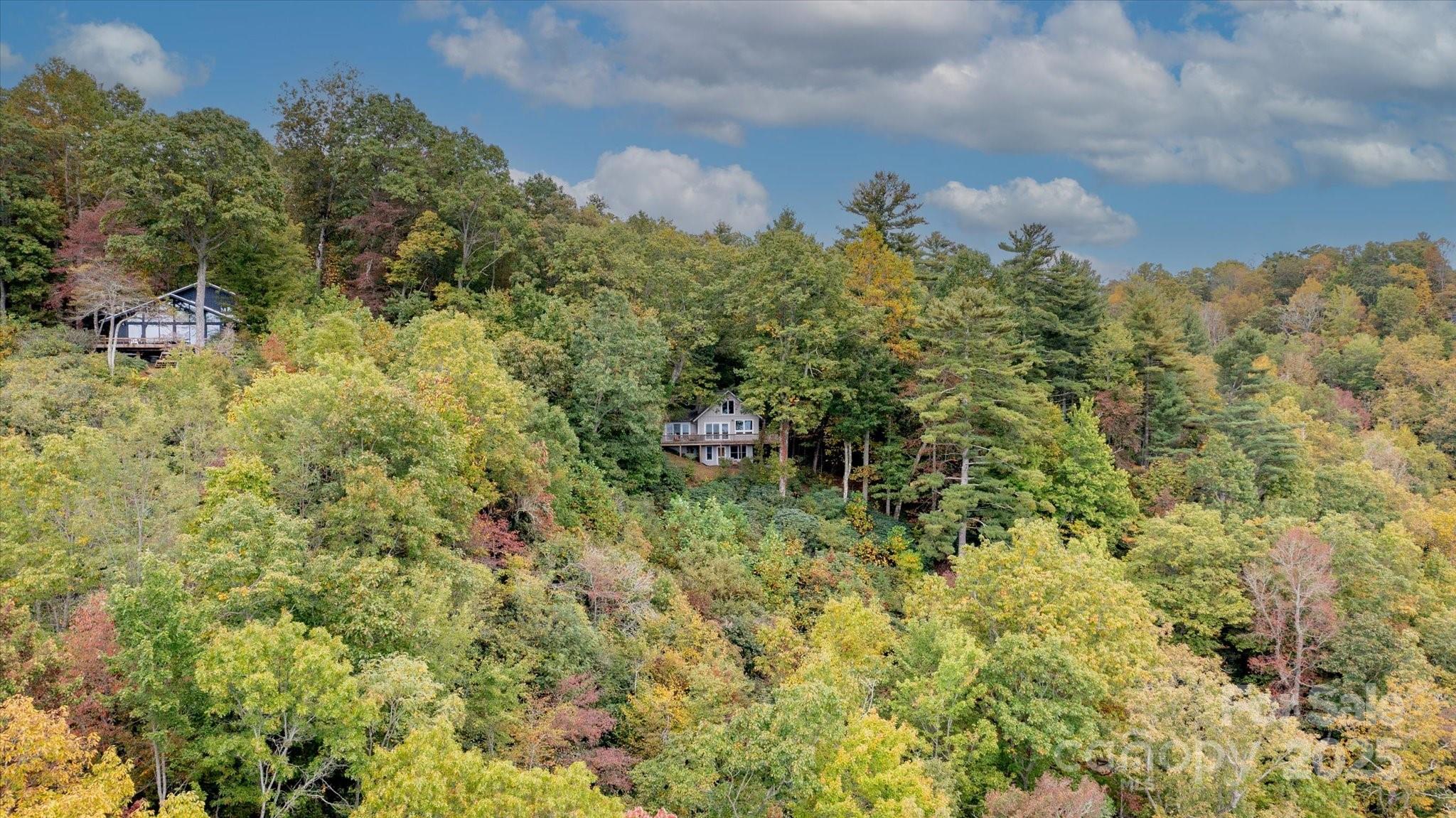 909 Green Hill Road Brevard, NC 28712 - Photo 40 of 44 a view of a bunch of trees and bushes