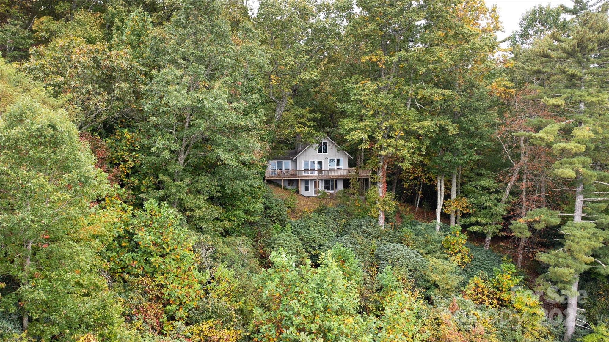 909 Green Hill Road Brevard, NC 28712 - Photo 43 of 44 a view of a house with a yard