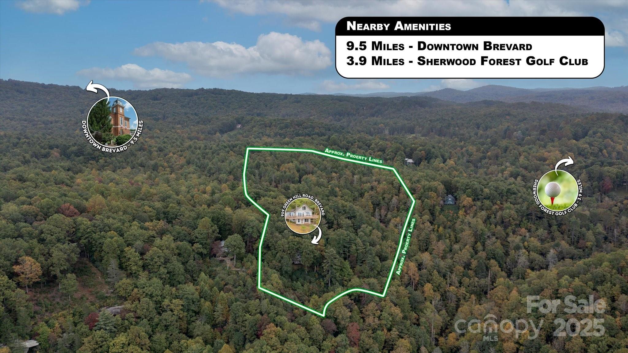 909 Green Hill Road Brevard, NC 28712 - Photo 44 of 44 a view of entryway