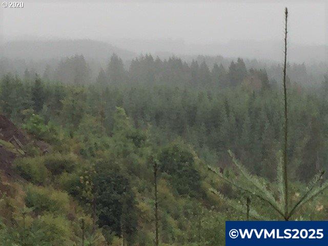Northwest Ridge Road Forest Grove, OR 97116 - Photo 8 of 8
