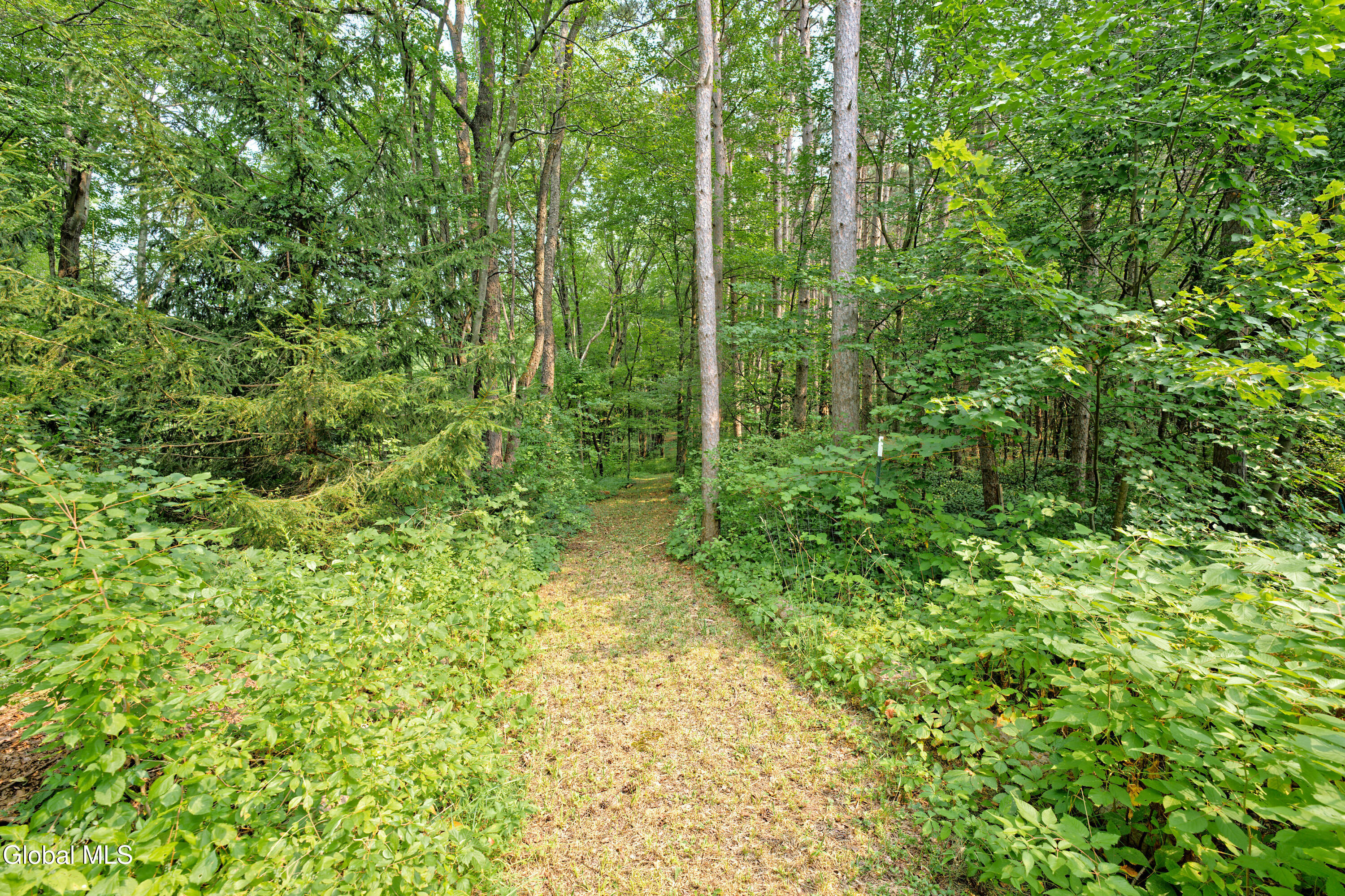 24 Deepkill Road Brunswick, NY 12180 - Photo 44 of 53 Yard 1