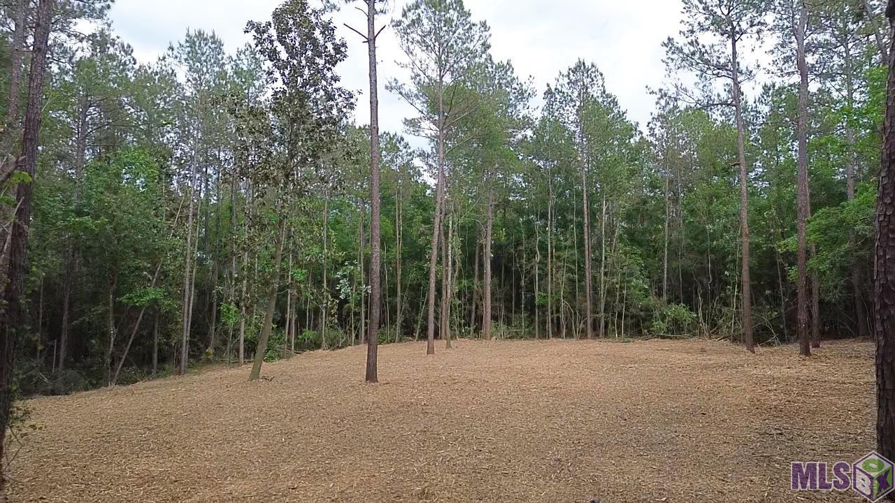 83166 Isabel Swamp Road Bush, LA 70431 - Photo 6 of 20