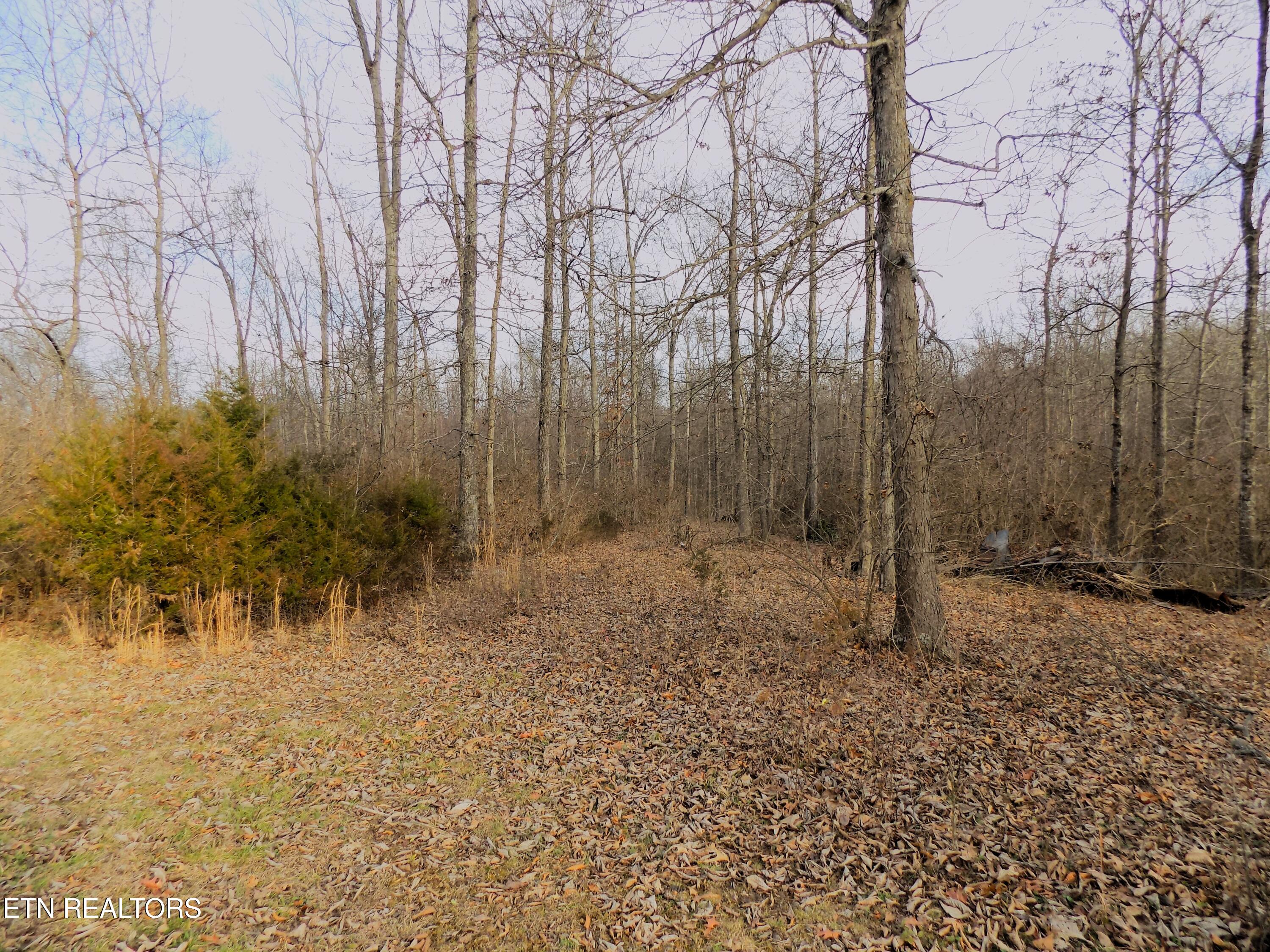 2139 Fraker Road Jefferson City, TN 37760 - Photo 30 of 32 Wooded Acreage