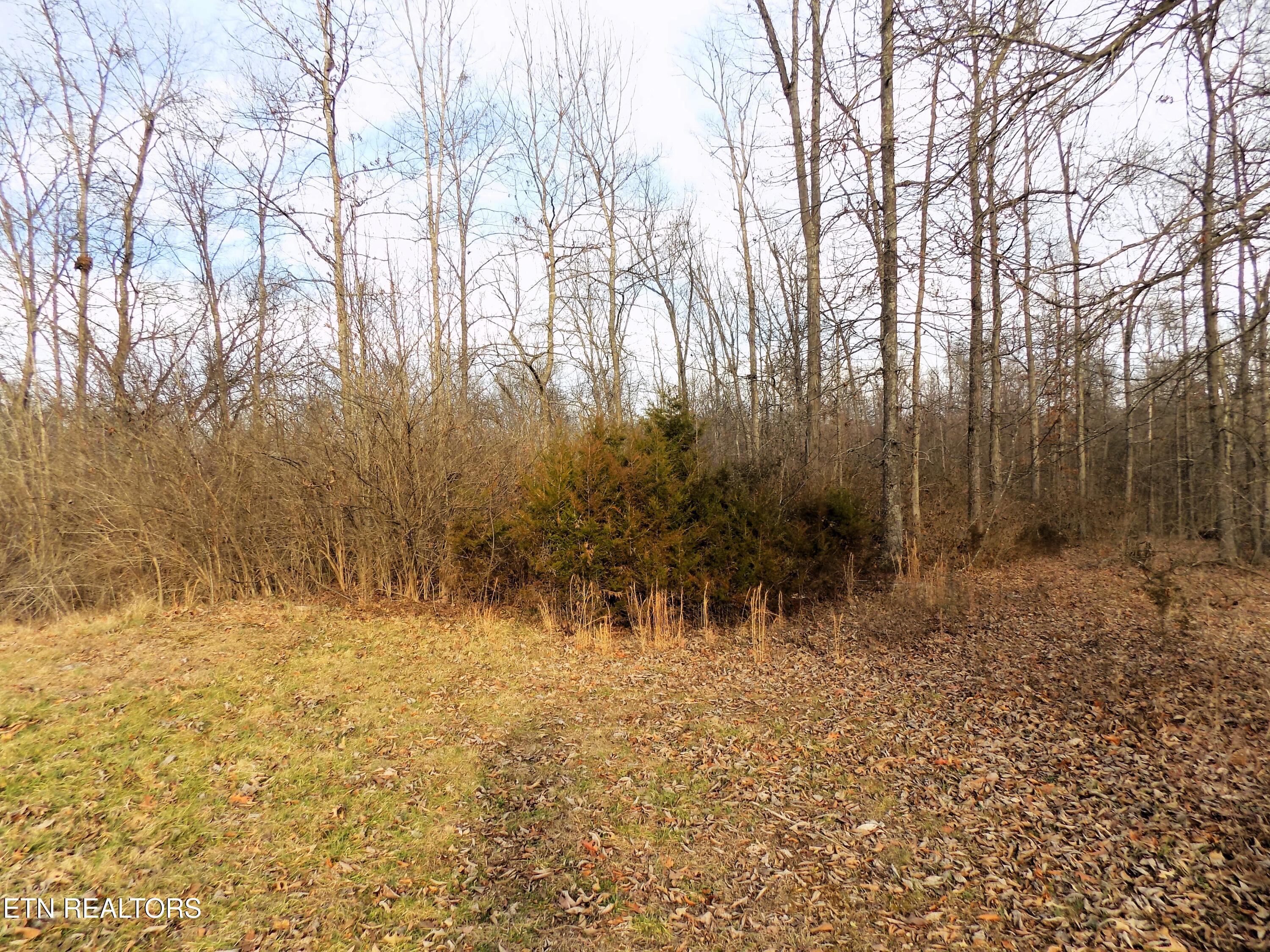 2139 Fraker Road Jefferson City, TN 37760 - Photo 31 of 32 Wooded Acreage