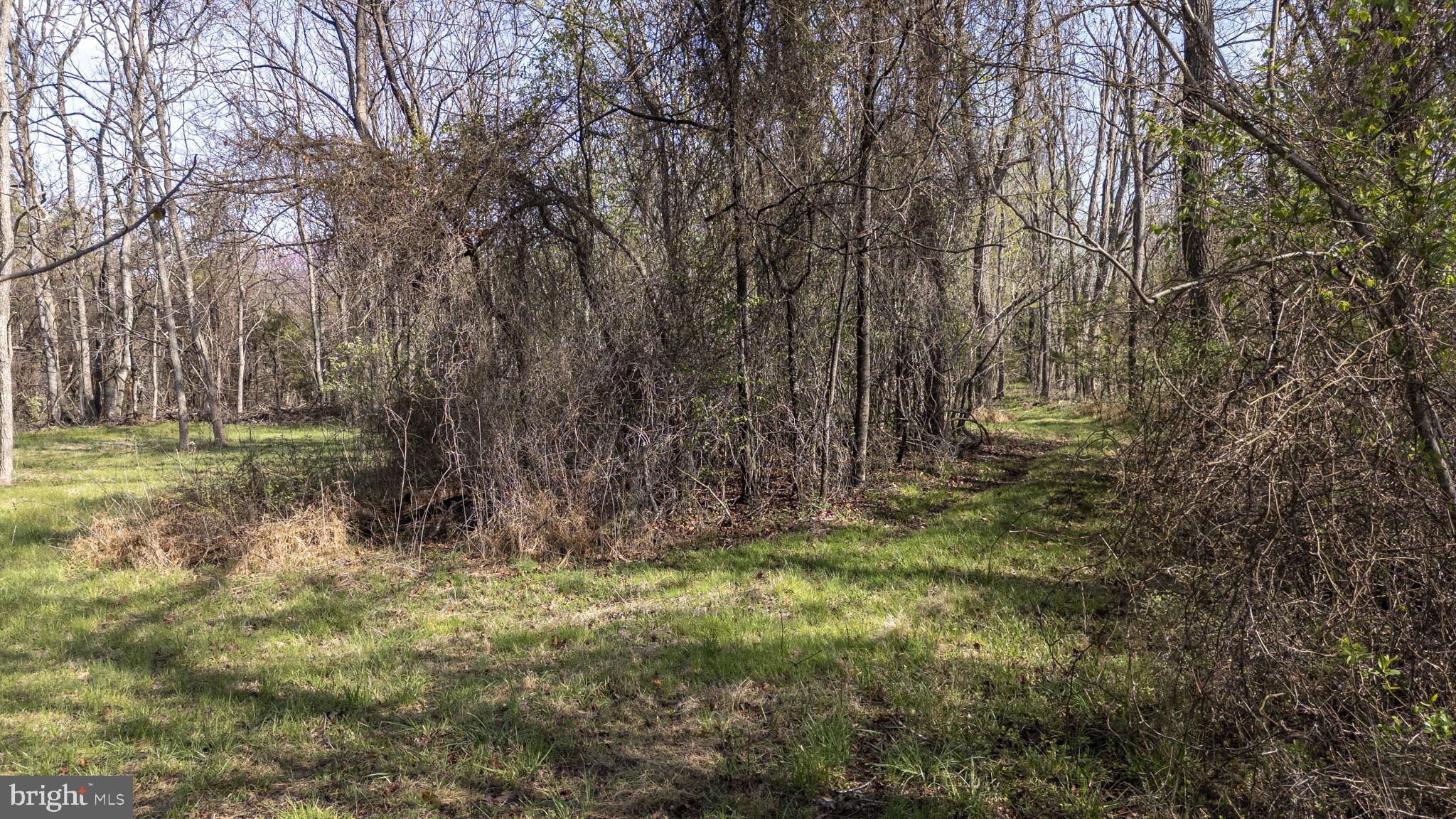 Goggin Ford Road Bedford, VA 24523 - Photo 3 of 20