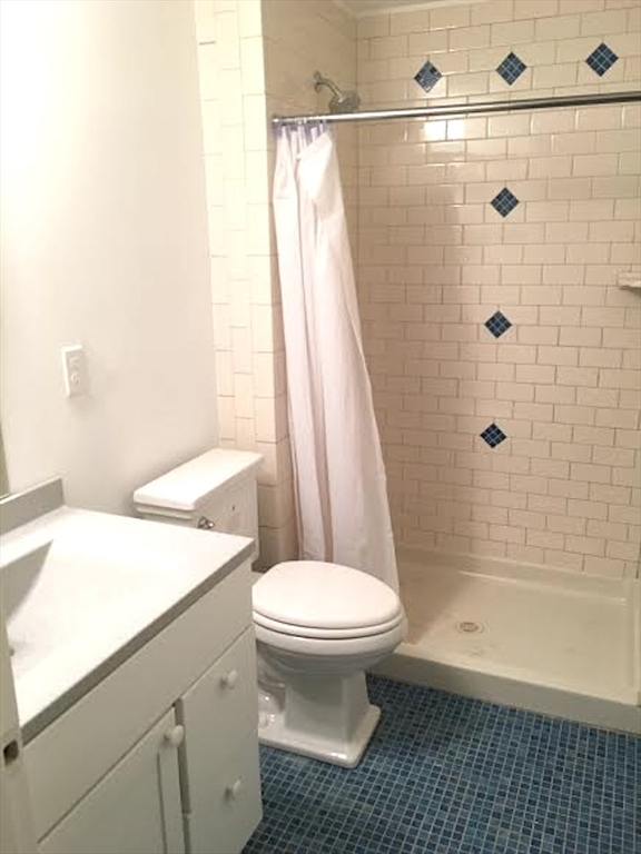 11 Lanark Road, Unit 1 Brookline, MA 02445 - Photo 10 of 11 a bathroom with a sink a toilet and shower