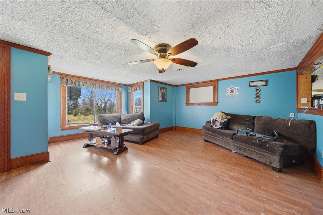 4677 Rock Spring Road Ravenna, OH 44266 - Photo 6 of 35 Living room featuring ornamental molding, light wood finished floors, a ceiling fan, and a textured ceiling