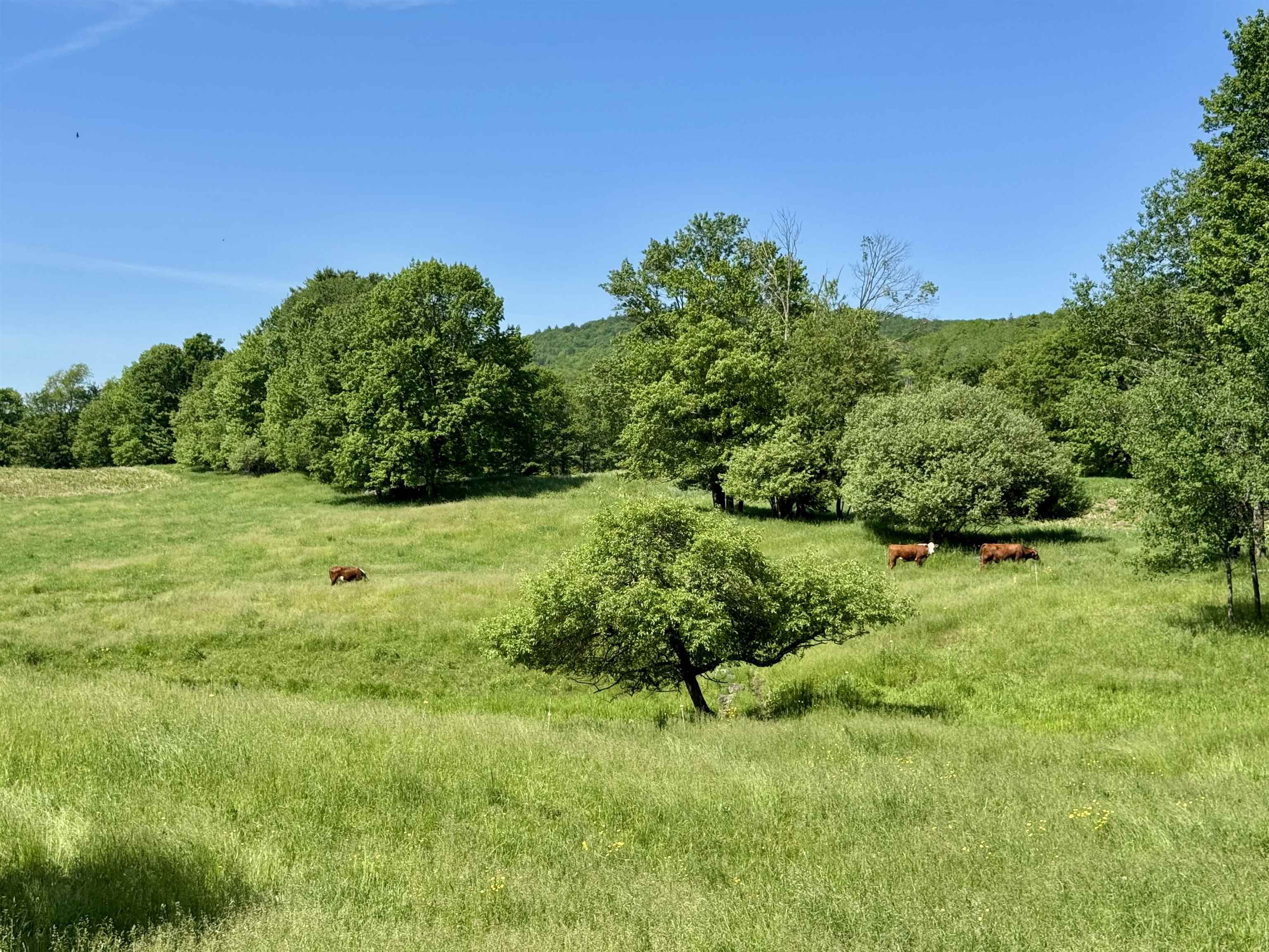 3517 Duck Pond Road Waterford, VT 05819 - Photo 50 of 60