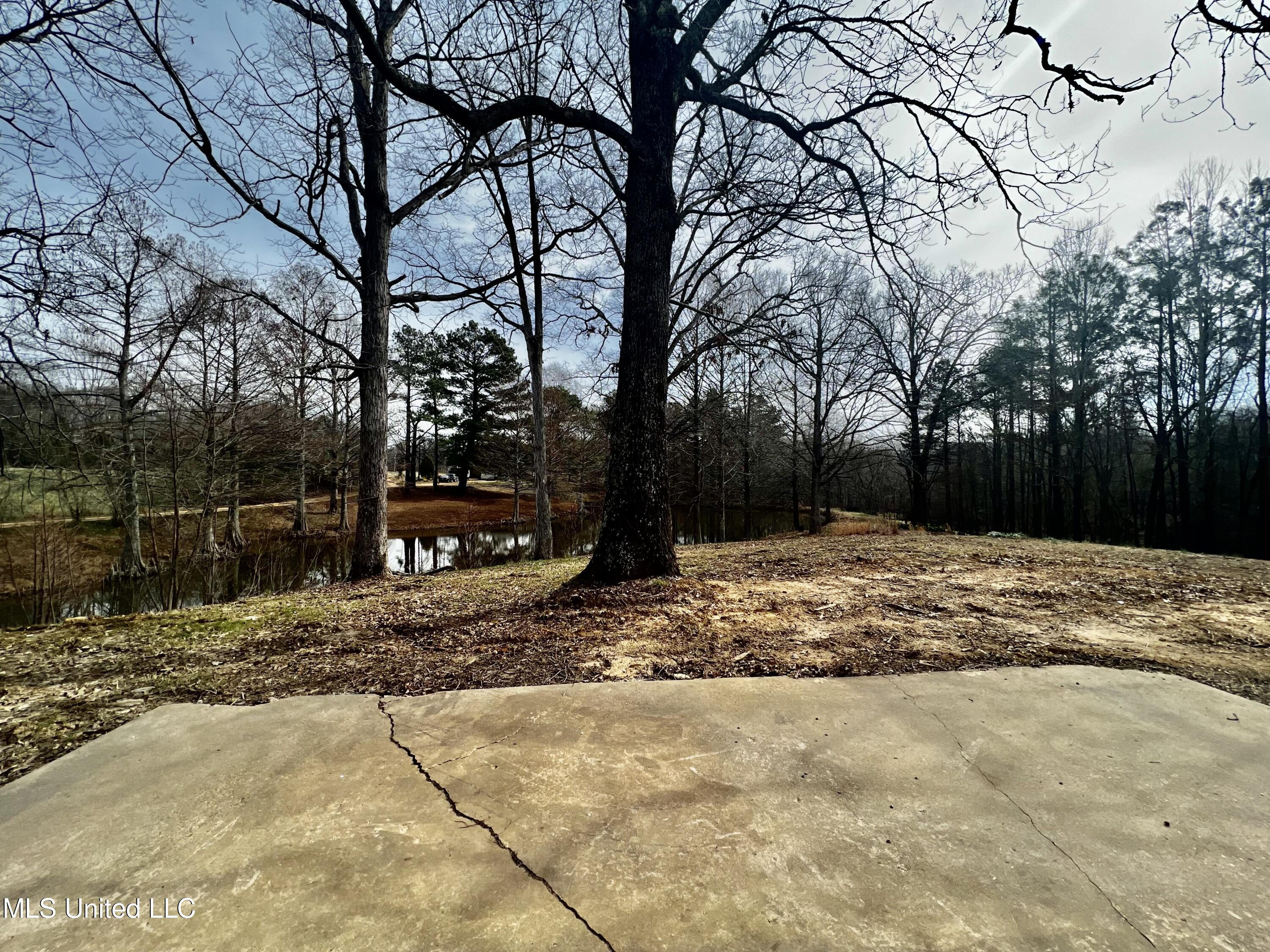 4258 McIngvale Road Hernando, MS 38632 - Photo 16 of 19 A6DBD8B9-F44D-484F-8FDD-2F91389AE25B