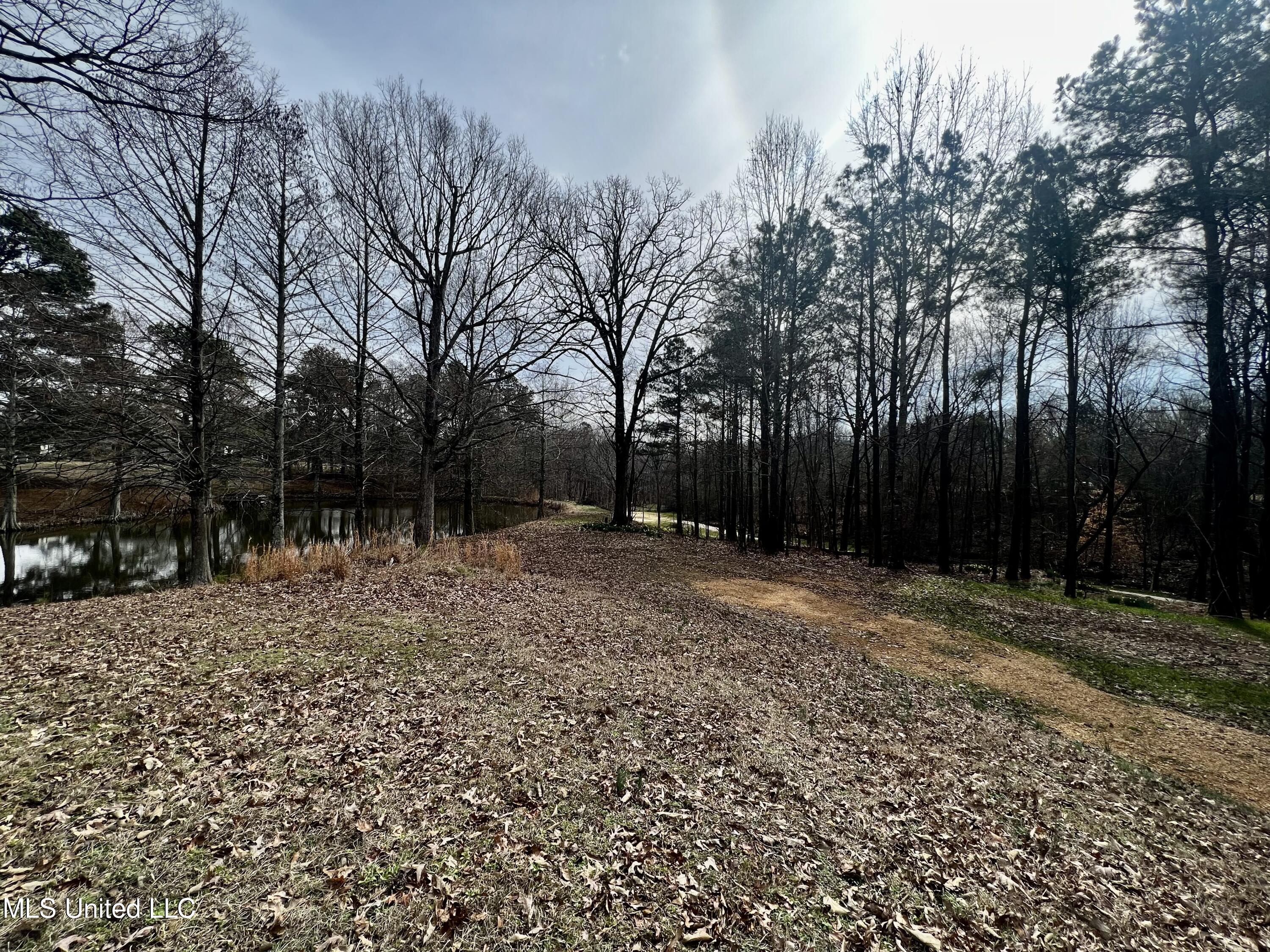 4258 McIngvale Road Hernando, MS 38632 - Photo 17 of 19 B174BED0-7177-44E2-8809-149A15D16C0B