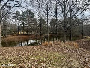 4258 McIngvale Road Hernando, MS 38632 - Photo 2 of 19 image