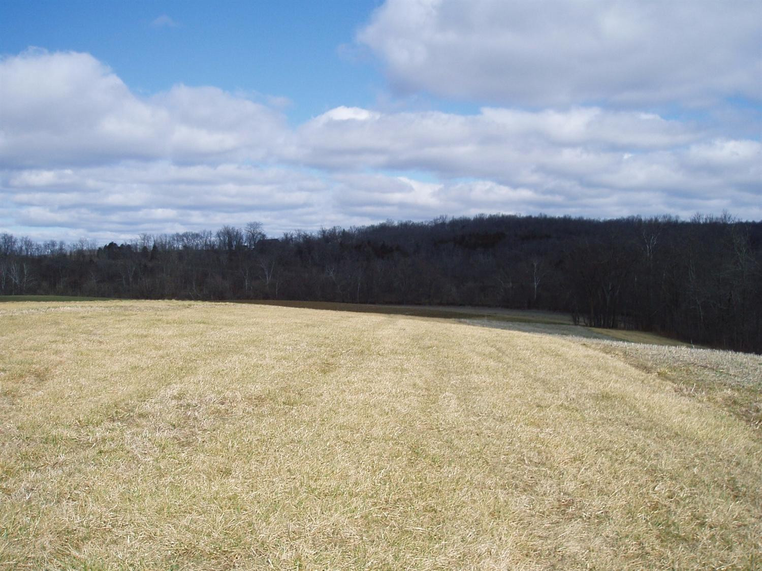 239 Grigson Road Brooksville, KY 41004 - Photo 9 of 28 Gallery Image 9