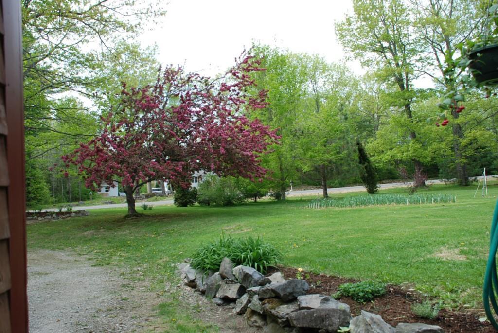 358 Stream Road Winterport, ME 04496 - Photo 10 of 27 Photo
