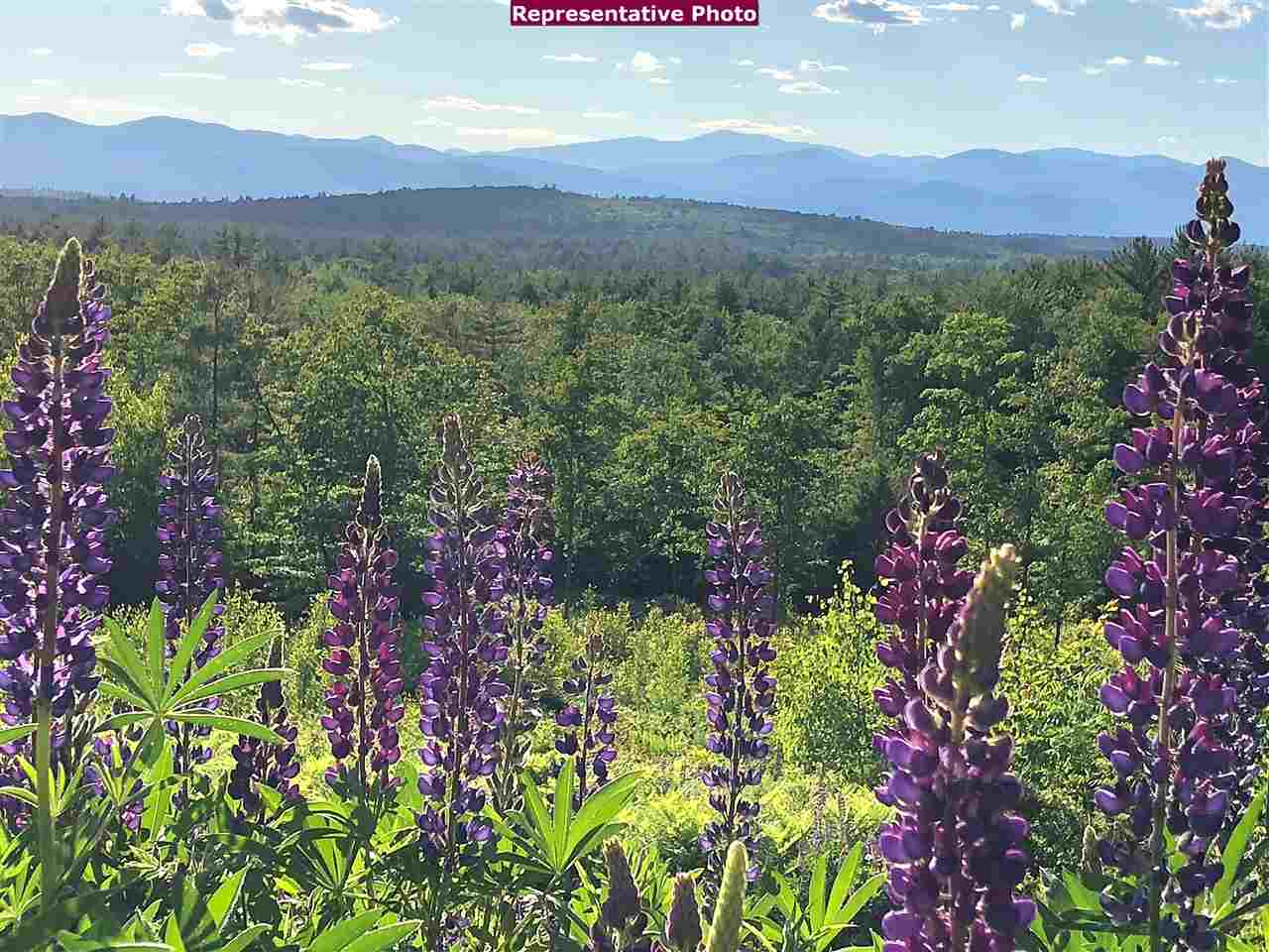 - Hillside Avenue Bridgton, ME 04009 - Photo 4 of 6