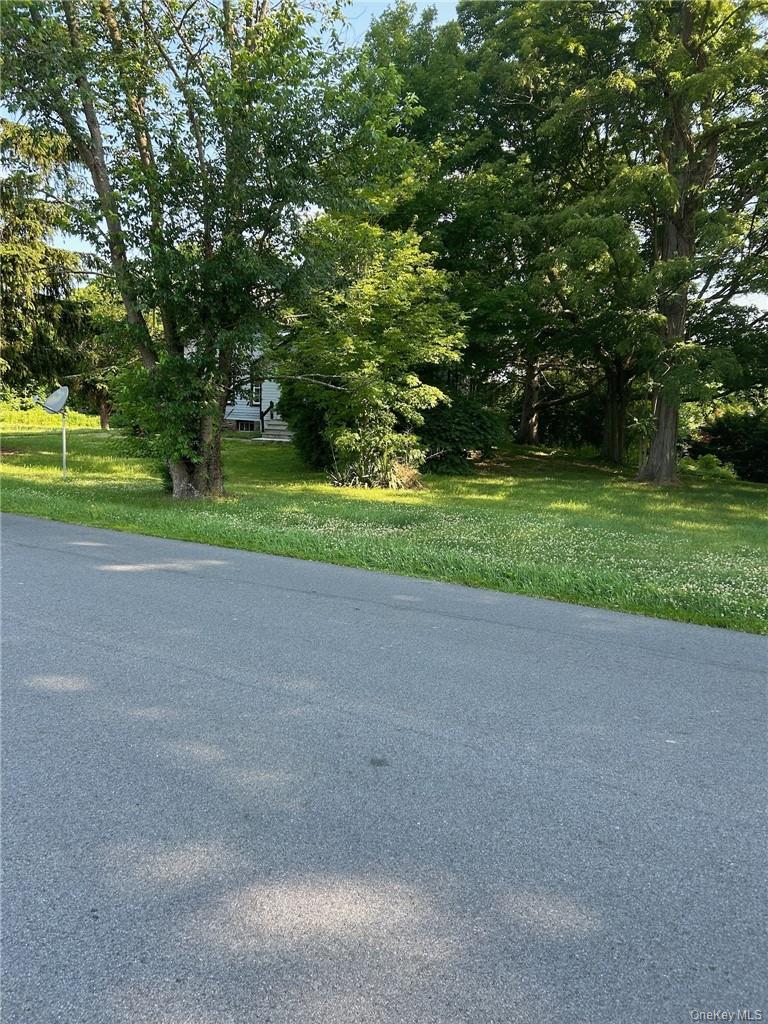 165 South Cross Road, Unit 4 Staatsburg, NY 12580 - Photo 8 of 12 View of road