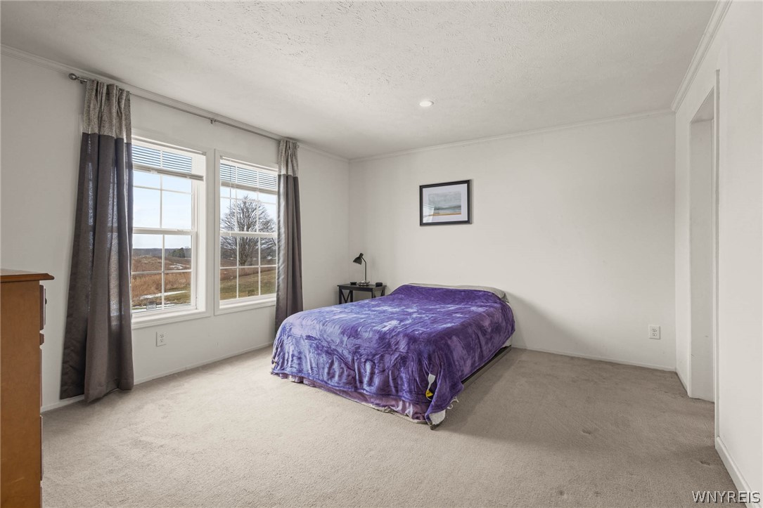 9771 Harper Road Darien, NY 14036 - Photo 21 of 39