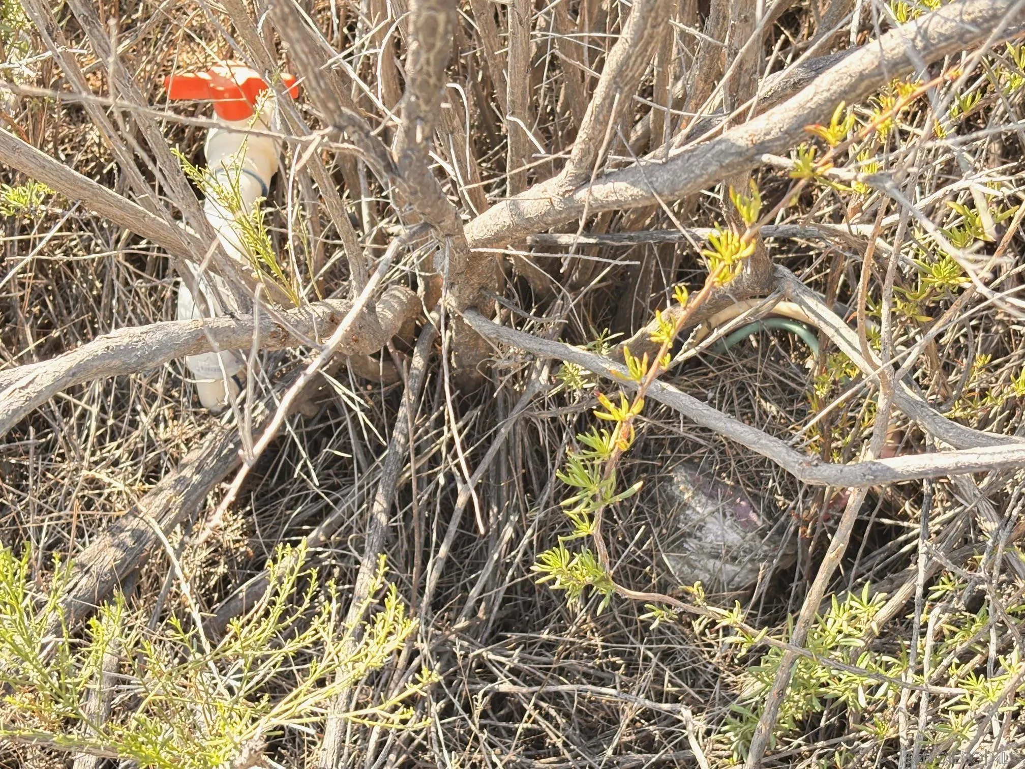 23833 Tecate Mission Road Tecate, CA 91980 - Photo 12 of 13