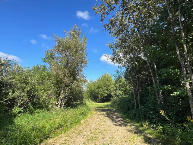 $129,900 | 305 East Forest Avenue, Hill City, MN 55748