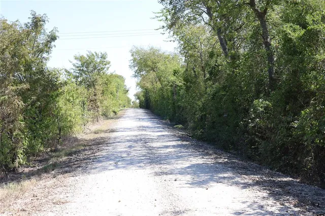 a view of a yard with plants and trees