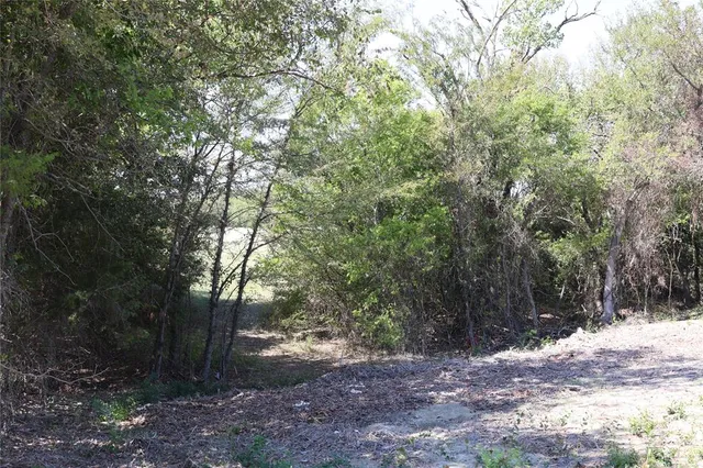 a view of outdoor space and trees