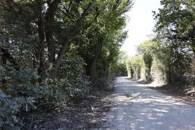a view of a yard with plants and trees