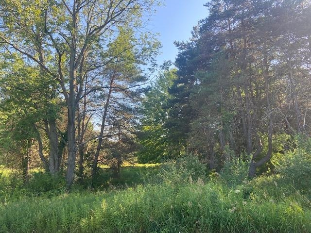 10857 West Vernon Road Lake, MI 48632 - Photo 22 of 25 1903015-21.JPG