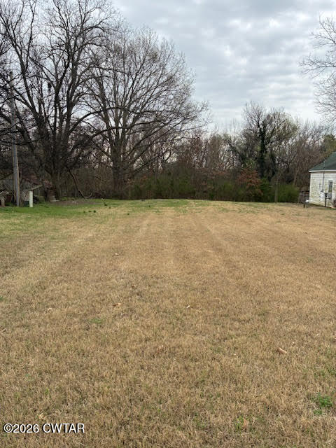 482 Main Street Friendship, TN 38034 - Photo 11 of 27 a view of a yard with a trees