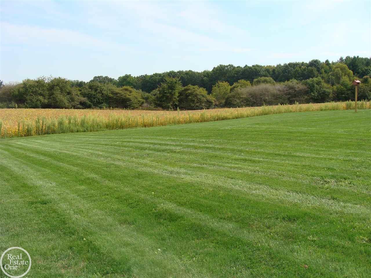 5084 Wixson Road Avoca, MI 48006 - Photo 10 of 51