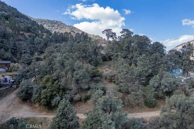 a view of a forest with a mountain in the background
