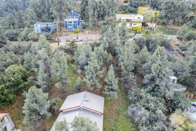 a view of a forest with mountains in the background