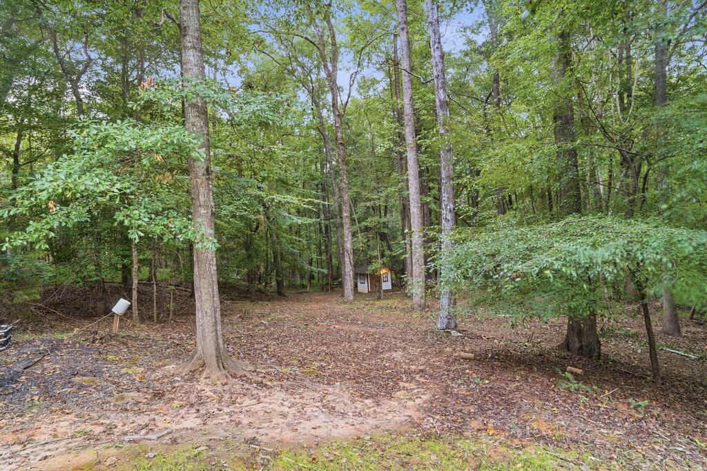 369 Green Ridge Road Cataula, GA 31804 - Photo 23 of 24 Gallery Image 23