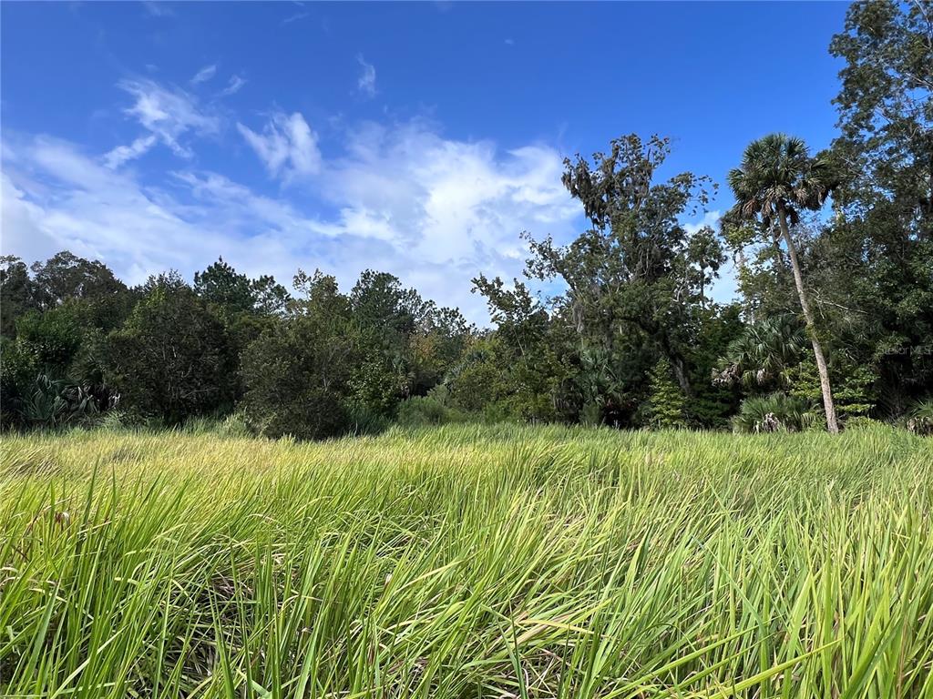 73 Alco Road Astor, FL 32102 - Photo 41 of 53 Gallery Image 41