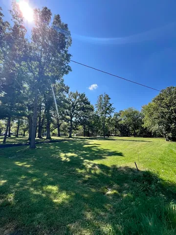 a view of a grassy field with trees