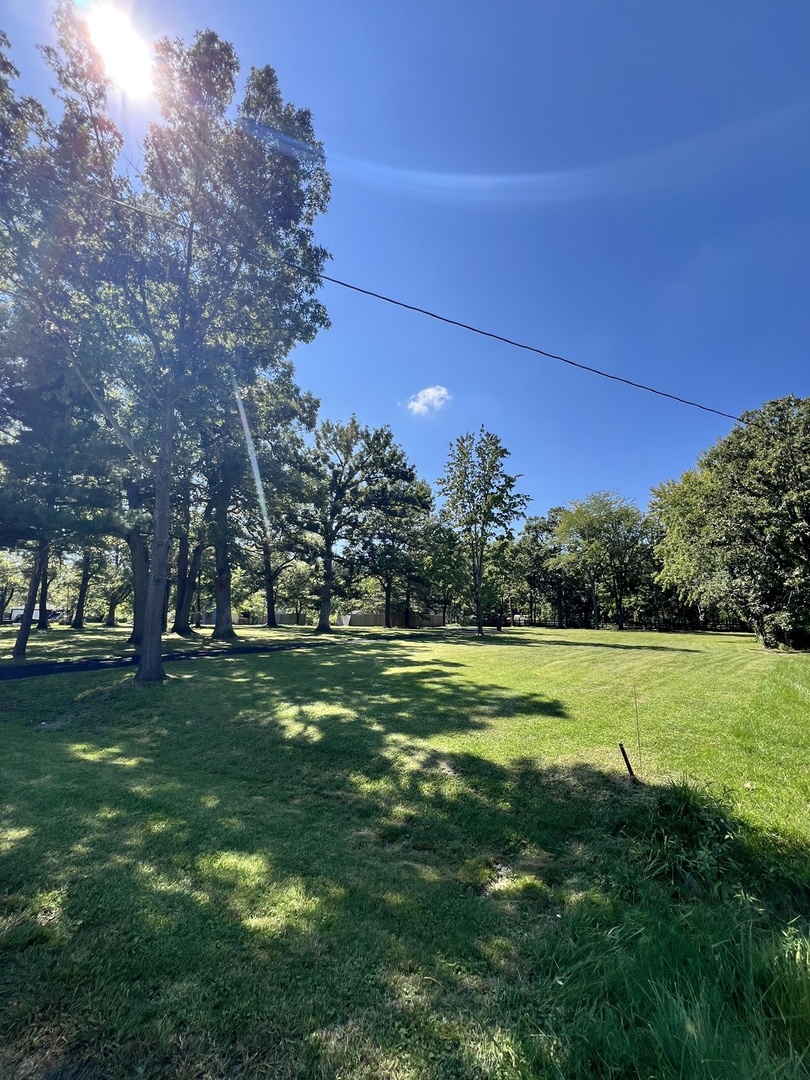 23810 South Ashland Avenue Crete, IL 60417 - Photo 3 of 10 a view of a grassy field with trees