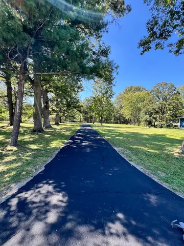 a view of a park with large trees