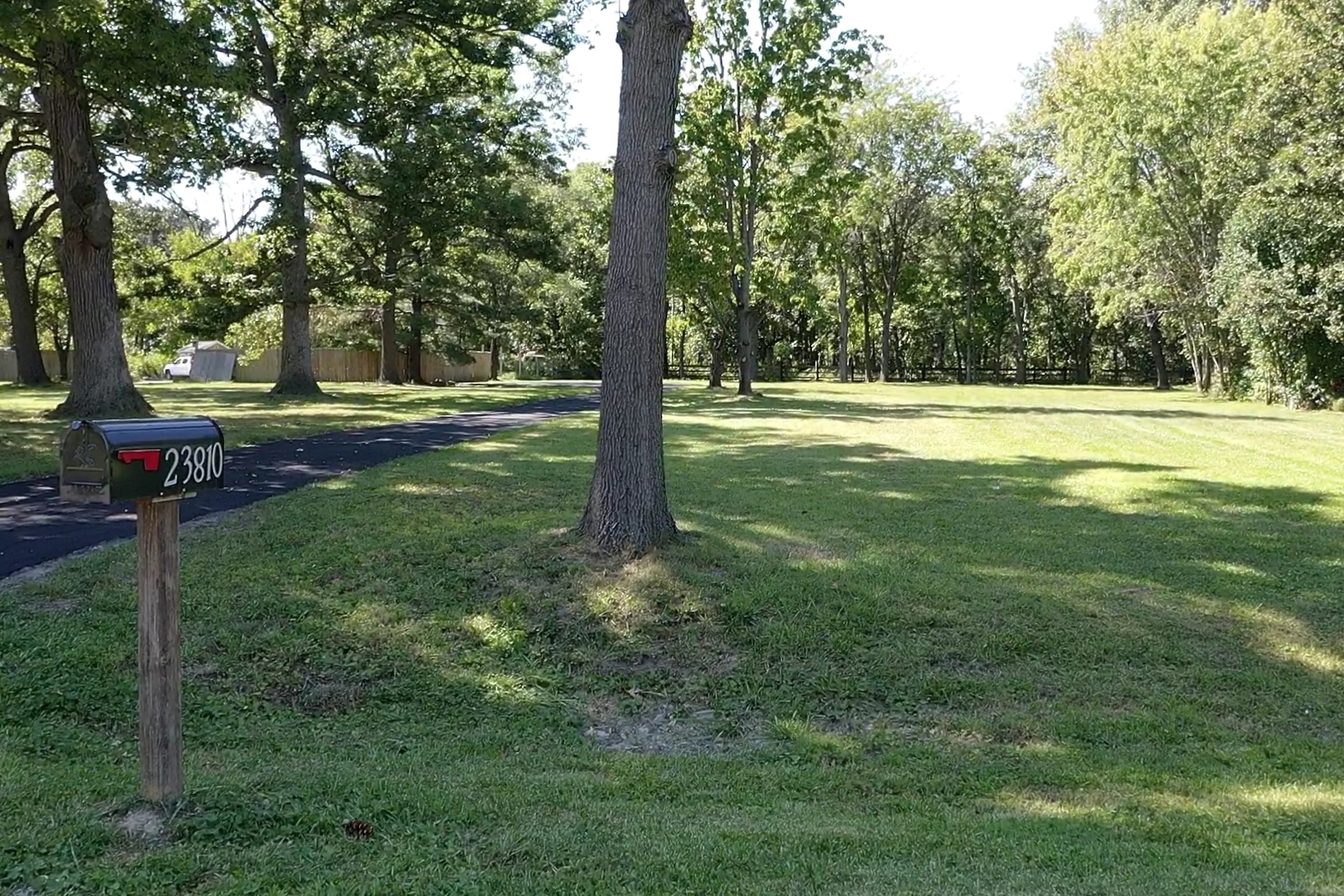23810 South Ashland Avenue Crete, IL 60417 - Photo 6 of 10 a view of a trees with a yard