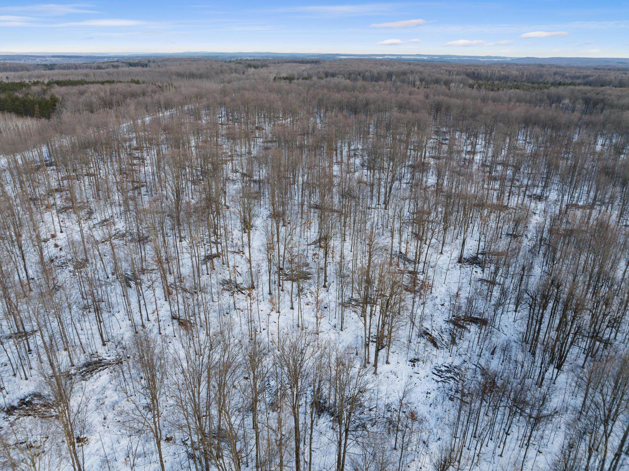 Tbd Bocook Road Mancelona, MI 49659 - Photo 31 of 46