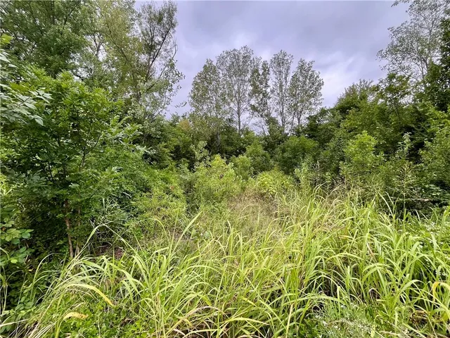 $1,161,750 | 0 60th Road, St. Paul, KS 66771