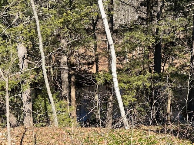 32 Ladds Lane, Unit 1 Epping, NH 03042 - Photo 4 of 10