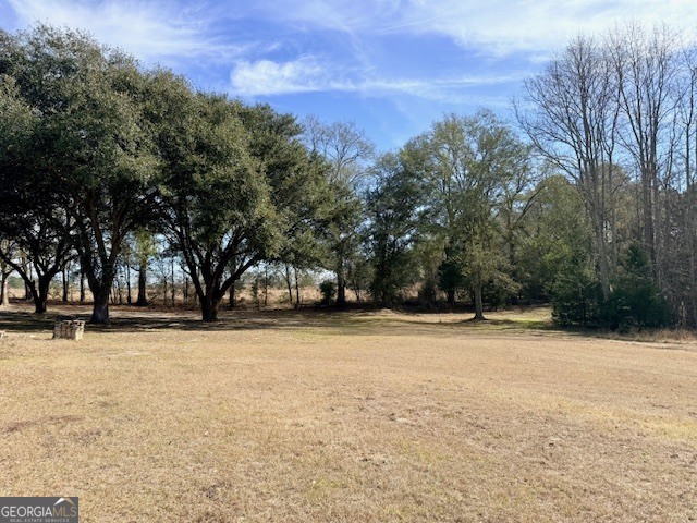 1431 Community Road Glennville, GA 30427 - Photo 29 of 42