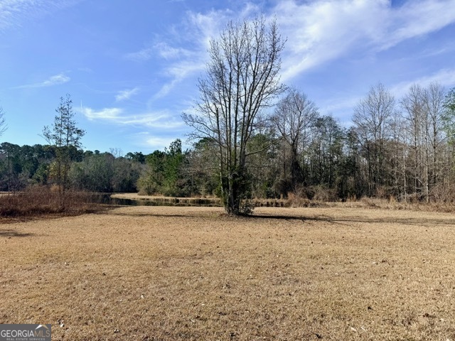 1431 Community Road Glennville, GA 30427 - Photo 32 of 42