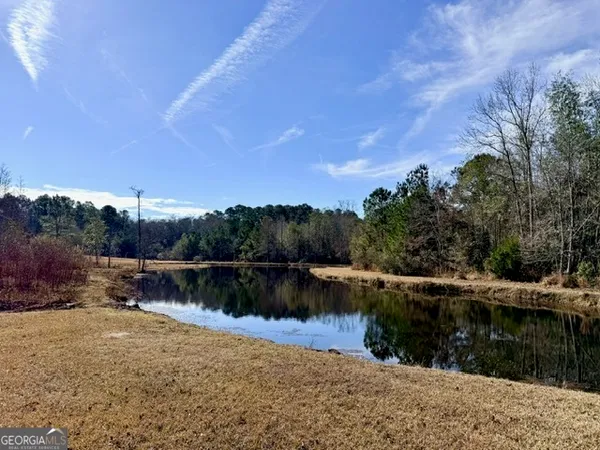 a view of a lake in middle of forest