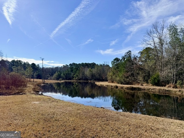 1431 Community Road Glennville, GA 30427 - Photo 34 of 42